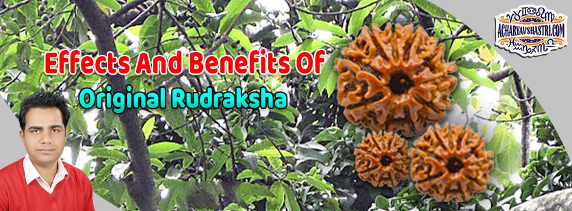 1 to 21 Mukhi Rudraksha Beads Benefits - Types of Rudraksha with Benefits and how to wearing Rudrakshas By Acharya V Shastri.