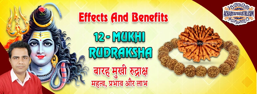 Strengths, Benefits and Importance of 12 Mukhi Rudraksha (Barah Face Rudraksha) By Acharya V Shastri.