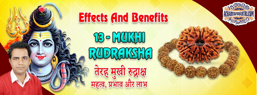 Strengths, Benefits and Importance of 13 Mukhi Rudraksha (Thirteen Face Rudraksha) By Acharya V Shastri.