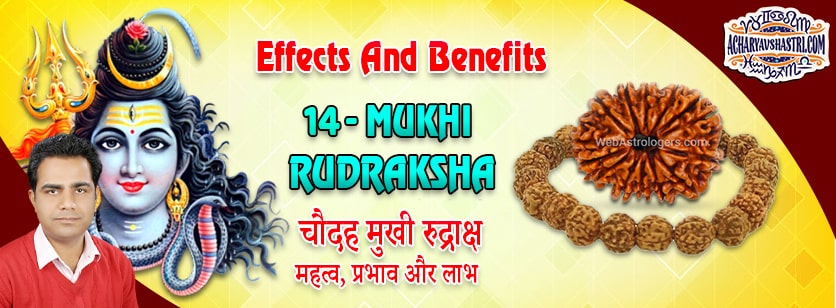 Strengths, Benefits and Importance of 14 Mukhi Rudraksha (Fourteen Face Rudraksha) By Acharya V Shastri.