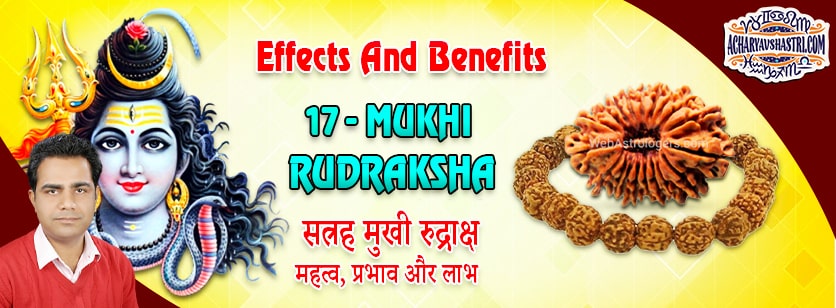 Strengths, Benefits and Importance of 17 Mukhi Rudraksha (Seventeen Face Rudraksha) By Acharya V Shastri.