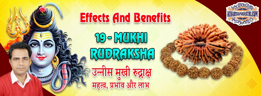 Strengths, Benefits and Importance of 19 Mukhi Rudraksha (Nineteen Face Rudraksha) By Acharya V Shastri.