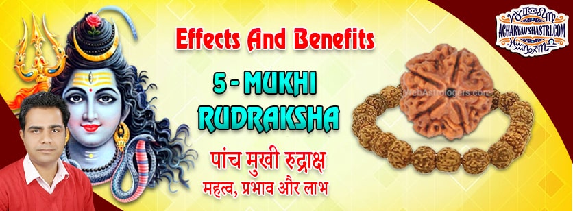 Strengths, Benefits and Importance of 5 Mukhi Rudraksha (5 -Five Face Rudraksha) By Acharya V Shastri.