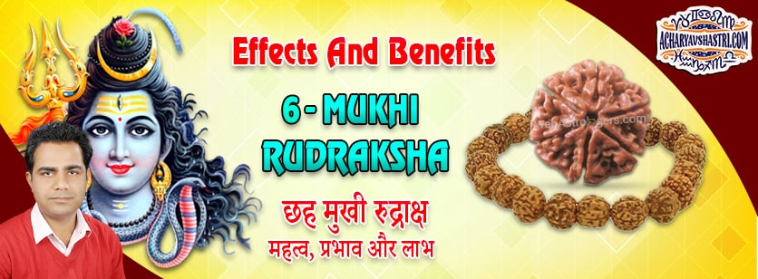 Strengths, Benefits and Importance of 6 Mukhi Rudraksha (6- Six Face Rudraksha) By Acharya V Shastri