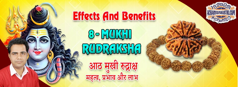 Strengths, Benefits and Importance of 8 Mukhi Rudraksha (Eight Face Rudraksha) By Acharya V Shastri.