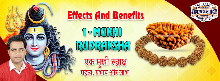 Strengths, Benefits and Importance of Ek Mukhi Rudraksha (1-One Face Rudraksha) By Acharya V Shastri