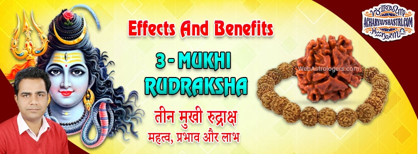 Strengths, Benefits and Importance of Teen Mukhi Rudraksha (3 - Three Face Rudraksha) By Acharya V Shastri