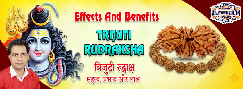 Strengths, Benefits and Importance of Trijuti Rudraksha by Acharya V Shastri.