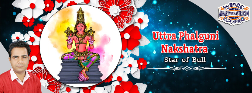 Uttra Phalguni Nakshatra- Star of Bull