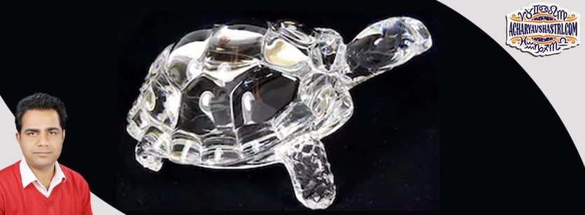 Vastu defects will be removed by keeping the tortoise in the house and there will be financial growth.