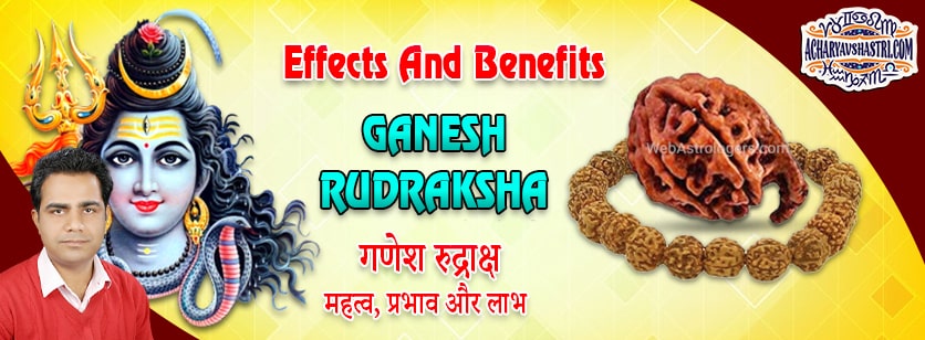 Strengths, Benefits and Importance of Ganesh Rudraksha -  गणेश रुद्राक्ष By Acharya V Shastri.