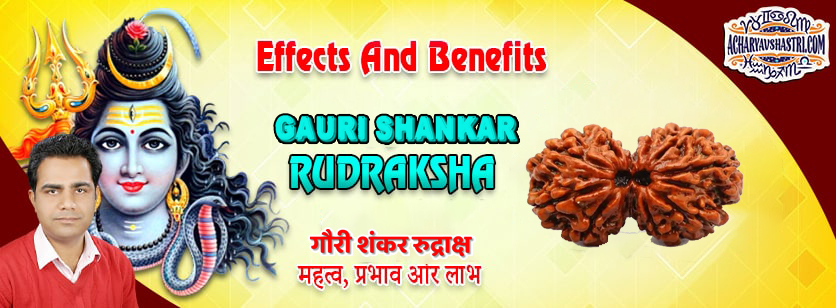 Strengths, Benefits and Importance of Gauri Shankar Rudraksha - गौरी शंकर रूद्राक्ष By Acharya V Shastri.