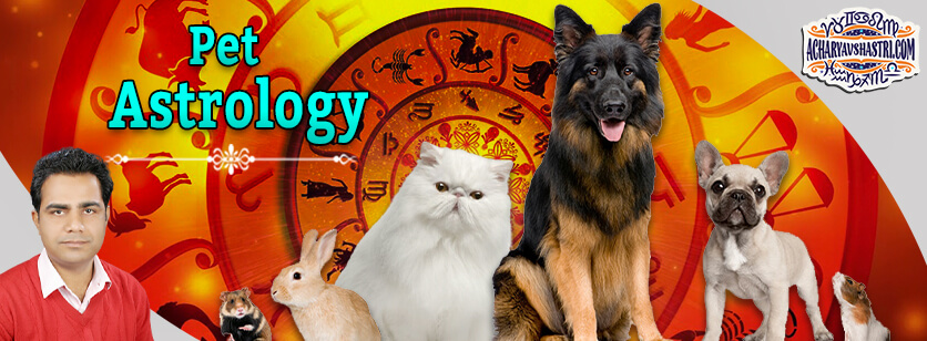 What Everyone Is Saying about Pet Astrology Zodiac and smoking Nowadays