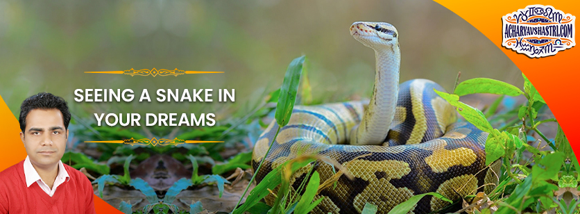 Seeing Snake in Dreams? Here is the Astrological Interpretation for You only!