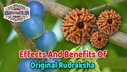 1 to 21 Mukhi Rudraksha Beads Benefits - Types of Rudraksha with Benefits and how to wearing Rudrakshas By Acharya V Shastri.