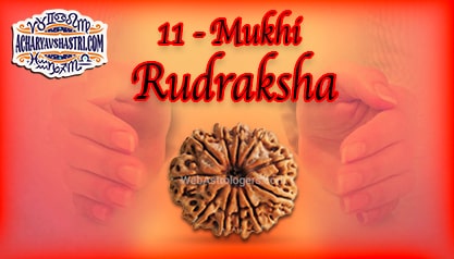 Strengths, Benefits and Importance of 11 Mukhi Rudraksha (Eleven Face Rudraksha) By Acharya V Shastri