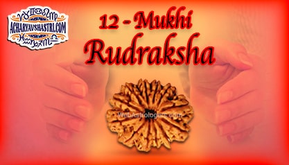 Strengths, Benefits and Importance of 12 Mukhi Rudraksha (Barah Face Rudraksha) By Acharya V Shastri.