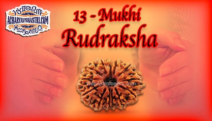 Strengths, Benefits and Importance of 13 Mukhi Rudraksha (Thirteen Face Rudraksha) By Acharya V Shastri.