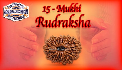 Strengths, Benefits and Importance of 15 Mukhi Rudraksha (Fifteen Face Rudraksha) By Acharya V Shastri.