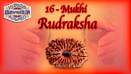 Strengths, Benefits and Importance of 16 Mukhi Rudraksha (Sixteen Face Rudraksha) By Acharya V Shastri.