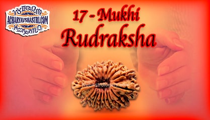 Strengths, Benefits and Importance of 17 Mukhi Rudraksha (Seventeen Face Rudraksha) By Acharya V Shastri.