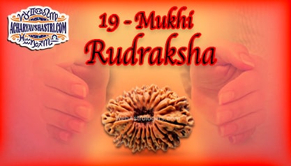 Strengths, Benefits and Importance of 19 Mukhi Rudraksha (Nineteen Face Rudraksha) By Acharya V Shastri.