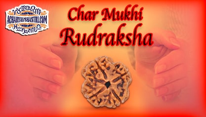 Strengths, Benefits and Importance of 4 Mukhi Rudraksha (Four Face Rudraksha) By Acharya V Shastri.