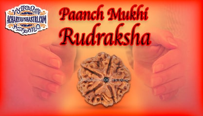Strengths, Benefits and Importance of 5 Mukhi Rudraksha (5 -Five Face Rudraksha) By Acharya V Shastri.
