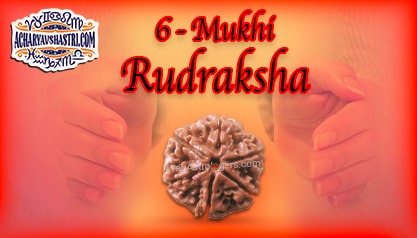 Strengths, Benefits and Importance of 6 Mukhi Rudraksha (6- Six Face Rudraksha) By Acharya V Shastri