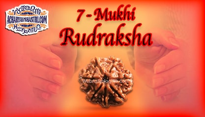 Strengths, Benefits and Importance of 7 Mukhi Rudraksha (7- Seven Face Rudraksha) By Acharya V Shastri