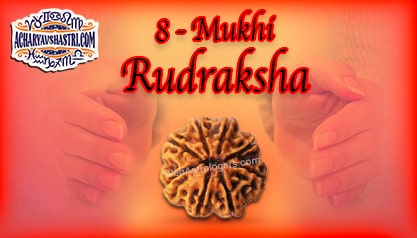 Strengths, Benefits and Importance of 8 Mukhi Rudraksha (Eight Face Rudraksha) By Acharya V Shastri.
