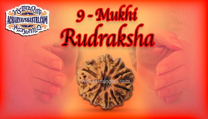 Strengths, Benefits and Importance of 9 Mukhi Rudraksha (Nine Face Rudraksha) By Acharya V Shastri