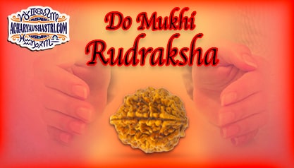 Strengths, Benefits and Importance of Do Mukhi Rudraksha (2-Two Face Rudraksha) By Acharya V Shastri