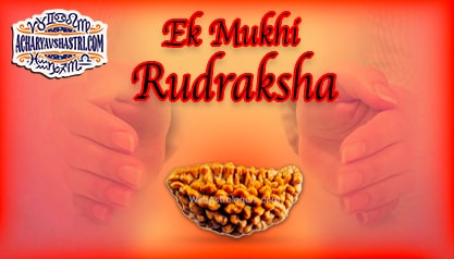 Strengths, Benefits and Importance of Ek Mukhi Rudraksha (1-One Face Rudraksha) By Acharya V Shastri