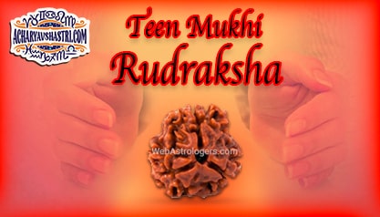 Strengths, Benefits and Importance of Teen Mukhi Rudraksha (3 - Three Face Rudraksha) By Acharya V Shastri