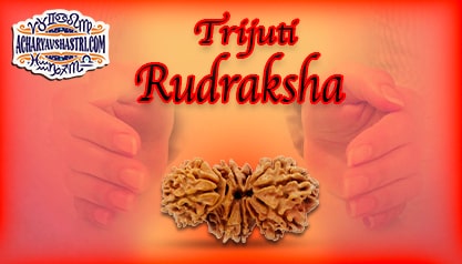 Strengths, Benefits and Importance of Trijuti Rudraksha by Acharya V Shastri.