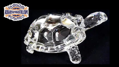 Vastu defects will be removed by keeping the tortoise in the house and there will be financial growth.