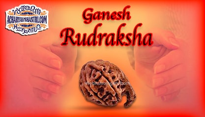 Strengths, Benefits and Importance of Ganesh Rudraksha -  गणेश रुद्राक्ष By Acharya V Shastri.