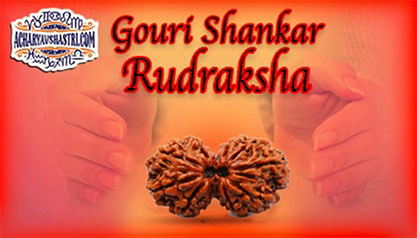 Strengths, Benefits and Importance of Gauri Shankar Rudraksha - गौरी शंकर रूद्राक्ष By Acharya V Shastri.