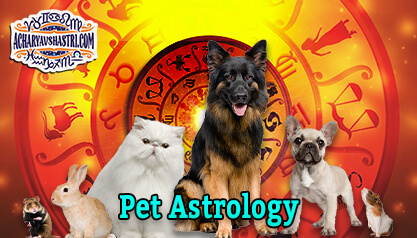 What Everyone Is Saying about Pet Astrology Zodiac and smoking Nowadays